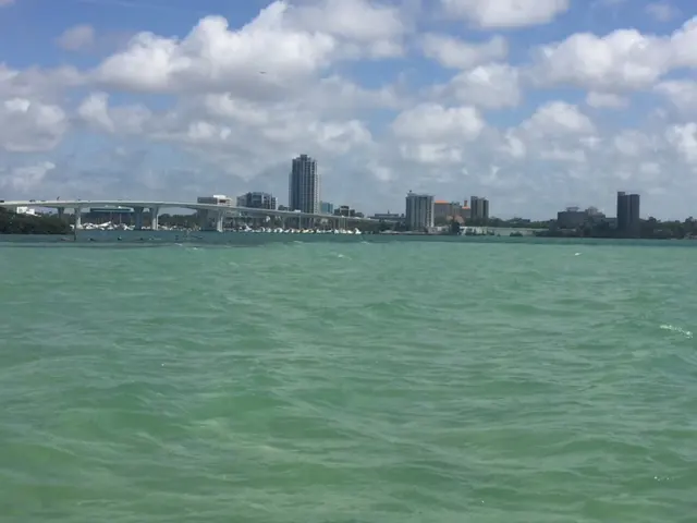 Clearwater SAV Survey