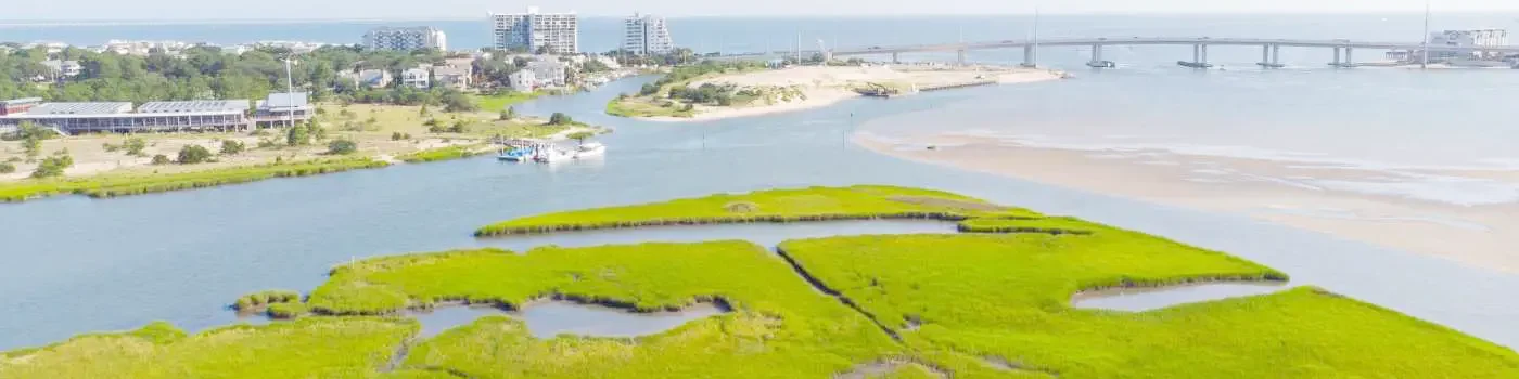 Wetlands