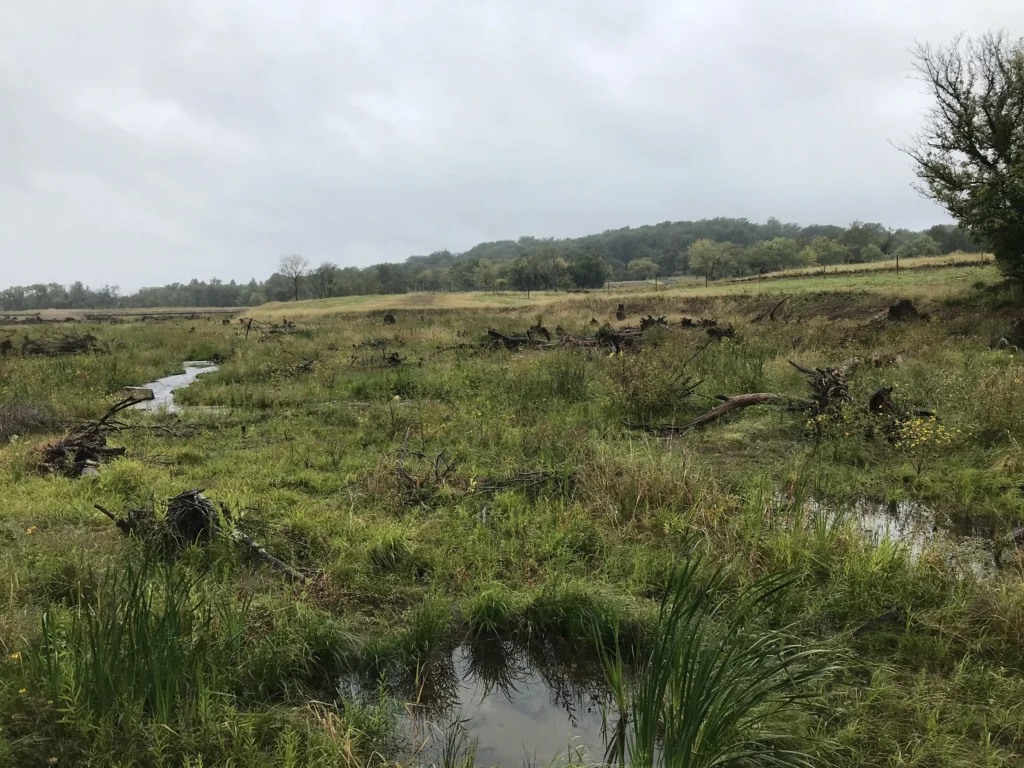 Open greenspace with wetlands